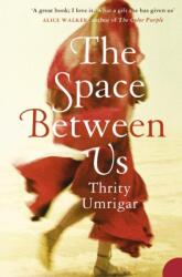The Space Between Us (ISBN: 9780007212330)