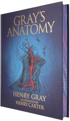 Gray's Anatomy (0000)