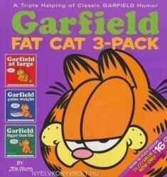 Garfield Fat Cat 3-Pack (ISBN: 9780345464552)