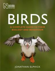 Birds (ISBN: 9780565093792)