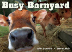 Busy Barnyard - John Schindel (ISBN: 9781582461687)