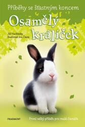 Příběhy se šťastným koncem - Osamělý králíček (ISBN: 9788025352786)