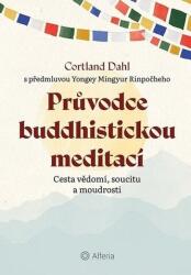 Průvodce buddhistickou meditací - Cesta vědomí, soucitu a moudrosti (2025)