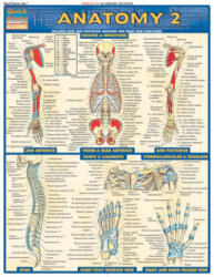 Anatomy 2 - Reference Guide - Vincent Perez (ISBN: 9781572228566)