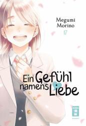 Ein Gefühl namens Liebe 17 (ISBN: 9783755506638)