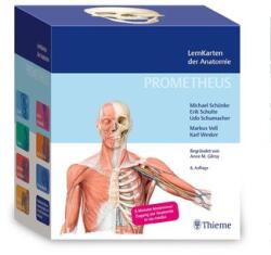 PROMETHEUS LernKarten der Anatomie (ISBN: 9783132444256)