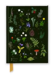 Anna Stead: The Forest Floor (ISBN: 9781835626801)