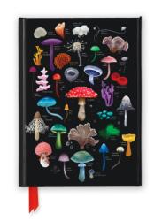 Anna Stead: Mushroom & Fungi Herbal (ISBN: 9781835625446)