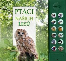 Ptáci našich lesů (ISBN: 9788026616924)