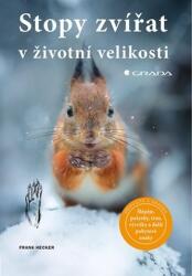 Stopy zvířat v životní velikosti (ISBN: 9788027121915)