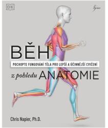 Alergare din perspectiva anatomiei - Tehnică corectă, prevenirea accidentărilor, planificarea antrenamentului (ISBN: 9788024284026)