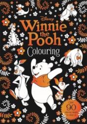Disney: Winnie The Pooh Colouring (ISBN: 9781801080705)