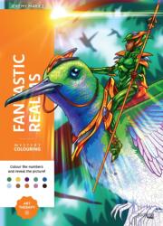 Mystery Colouring - Fantastic Worlds (ISBN: 9782017352815)