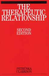 The Therapeutic Relationship (ISBN: 9781861563811)