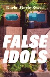 False Idols (ISBN: 9781035422067)