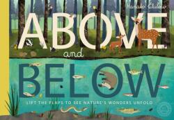 Above and Below (ISBN: 9781848576070)