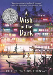 A Wish in the Dark - Christina Soontornvat (ISBN: 9781536222975)
