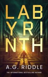 Labyrinth - RIDDLE A G (ISBN: 9781035924998)