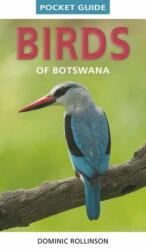 Pocket Guide Birds of Botswana - Rollinson, Dominic (ISBN: 9781775848813)