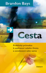 Cesta (2007)