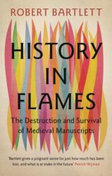 History in Flames (ISBN: 9781009457156)