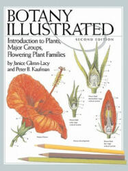 Botany Illustrated - Janice Glimn-Lacy (ISBN: 9780387288703)