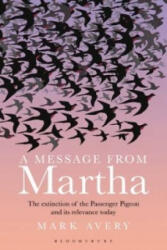 Message from Martha - AVERY MARK (ISBN: 9781472906274)