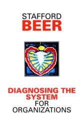 Diagnosing the System for Organizations (ISBN: 9780471951360)