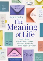 The Meaning of Life (ISBN: 9781472149671)