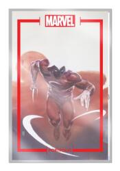 The Marvel Portfolio of Alex Maleev: The Marvel Universe - Alex Maleev (ISBN: 9781951038977)