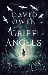Grief Angels (ISBN: 9780349003429)