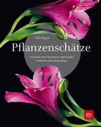 Pflanzenschätze - Till Hägele (ISBN: 9783967470277)