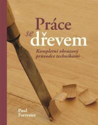 Práce se dřevem - Kompletní obrazový pruvodce technikami (2023)