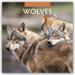 Wolves 2026 Square Wall Calendar (2025)