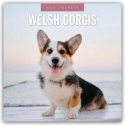 Welsh Corgis 2026 Square Wall Calendar (2025)