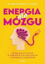 Energia dla mózgu (ISBN: 9788328909649)