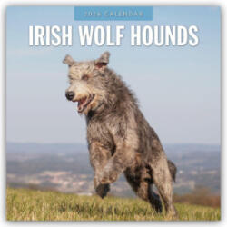 Irish Wolf Hounds 2026 Square Wall Calendar (2025)