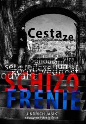 Cesta ze schizofrenie (2019)