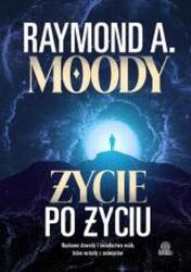 Życie po życiu. Naukowe dowody i świadectwa osób (ISBN: 9788383719467)