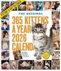 365 Kittens-A-Year Picture-A-Day(R) Wall Calendar 2026 (2025)