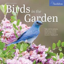 Audubon Birds in the Garden Wall Calendar 2026 (2025)