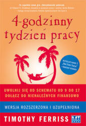 4 godzinny tydzień pracy (2020)