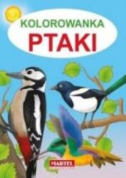 Kolorowanka. Ptaki (2016)
