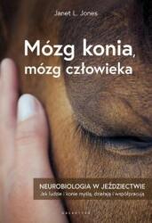 Mózg konia, mózg człowieka (2021)