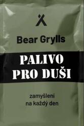 Combustibil pentru suflet (2025)