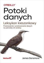 Potoki danych. Leksykon kieszonkowy (2023)