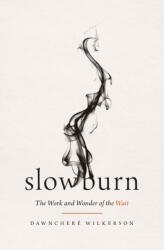 Slow Burn (ISBN: 9781400345519)