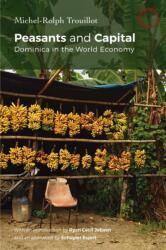 Peasants and Capital (ISBN: 9781914363221)
