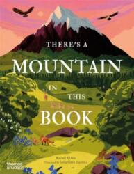 There's a Mountain in This Book (ISBN: 9780500653395)
