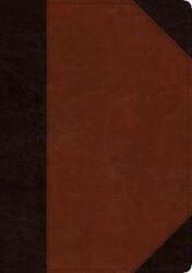 ESV Large Print Wide Margin Bible (ISBN: 9781433562457)